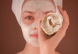 Close up of Reishi and Chaga mushrooms with skincare product bottle on wooden surface